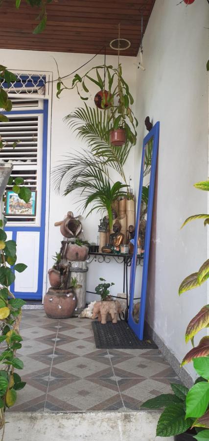 Chambre D'Hote La Calebasse サンタンヌ エクステリア 写真